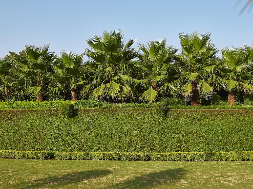 Club Mahindra Kandaghat Exterior photo